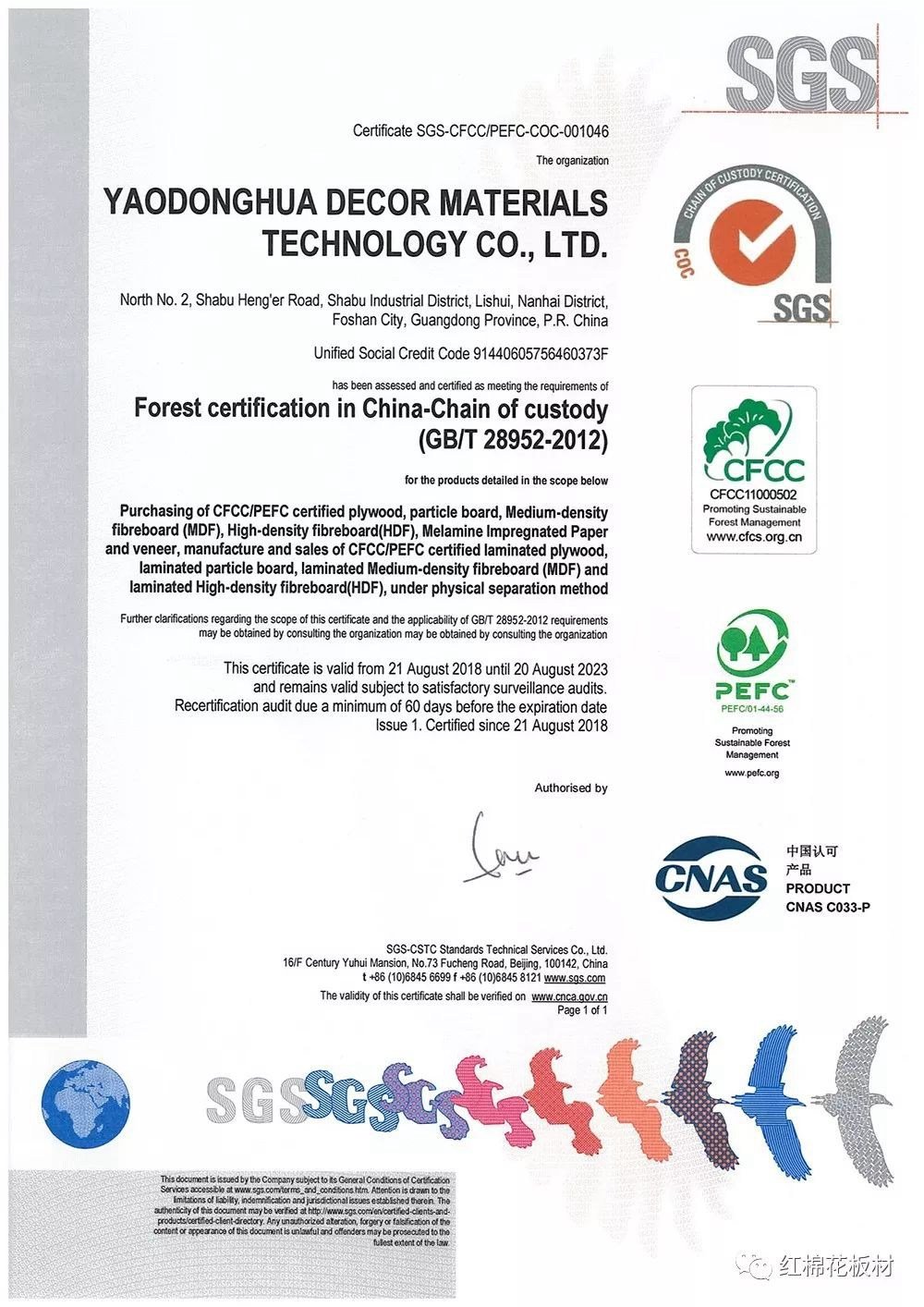 1552615335122550.jpg 2.jpg