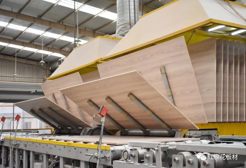 1556609323120876.jpg 8.jpg