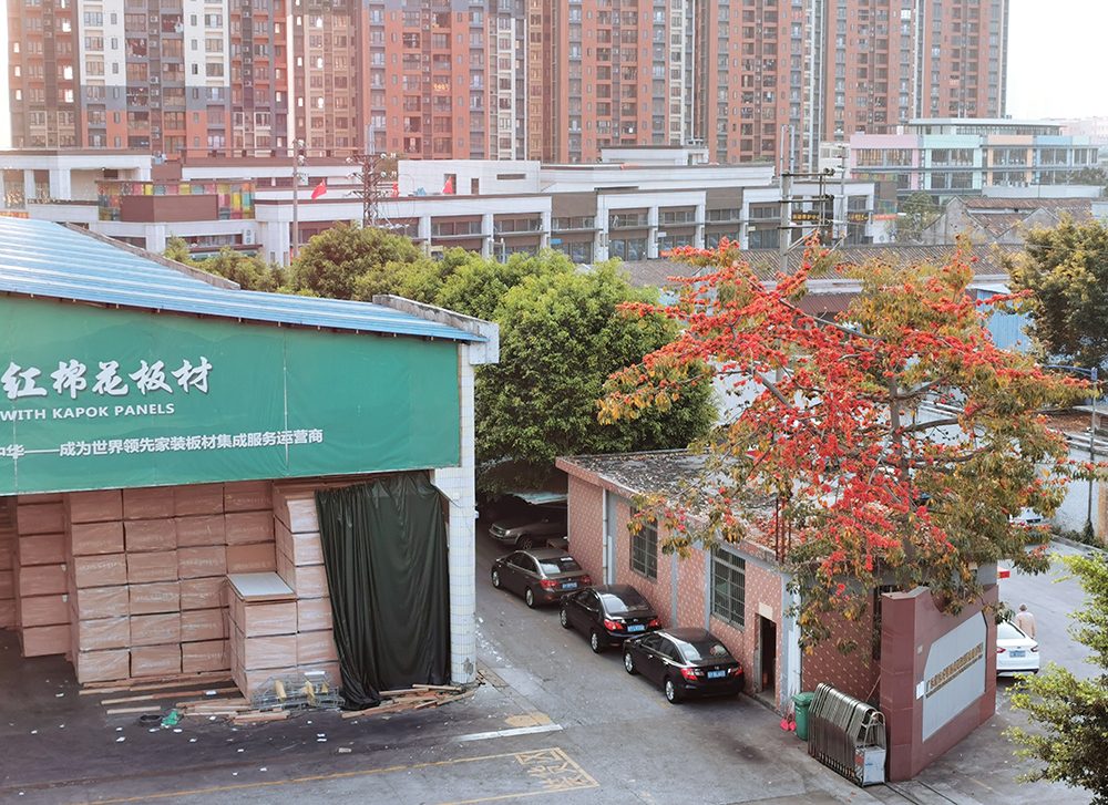 1583286173250922.jpg 红棉花.jpg