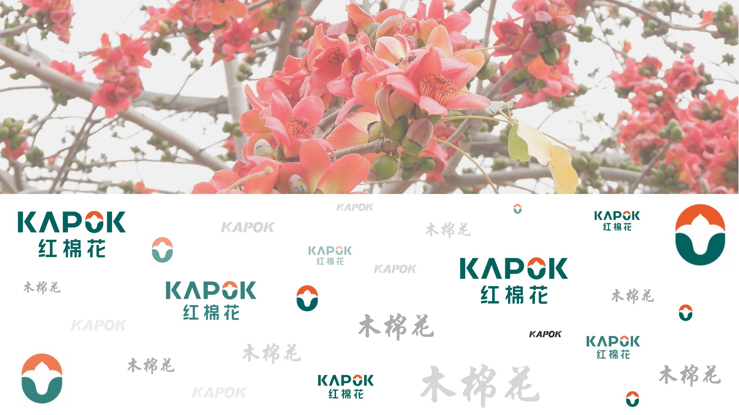 1747702852217679.jpg 演示文稿1_01(1).jpg