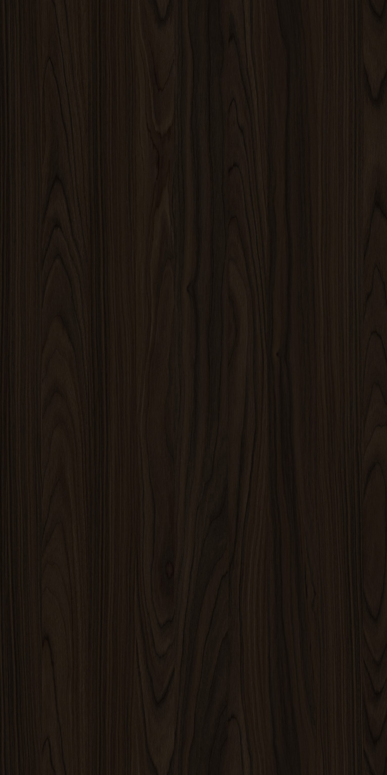 YDHTB1052 安科纳胡桃 