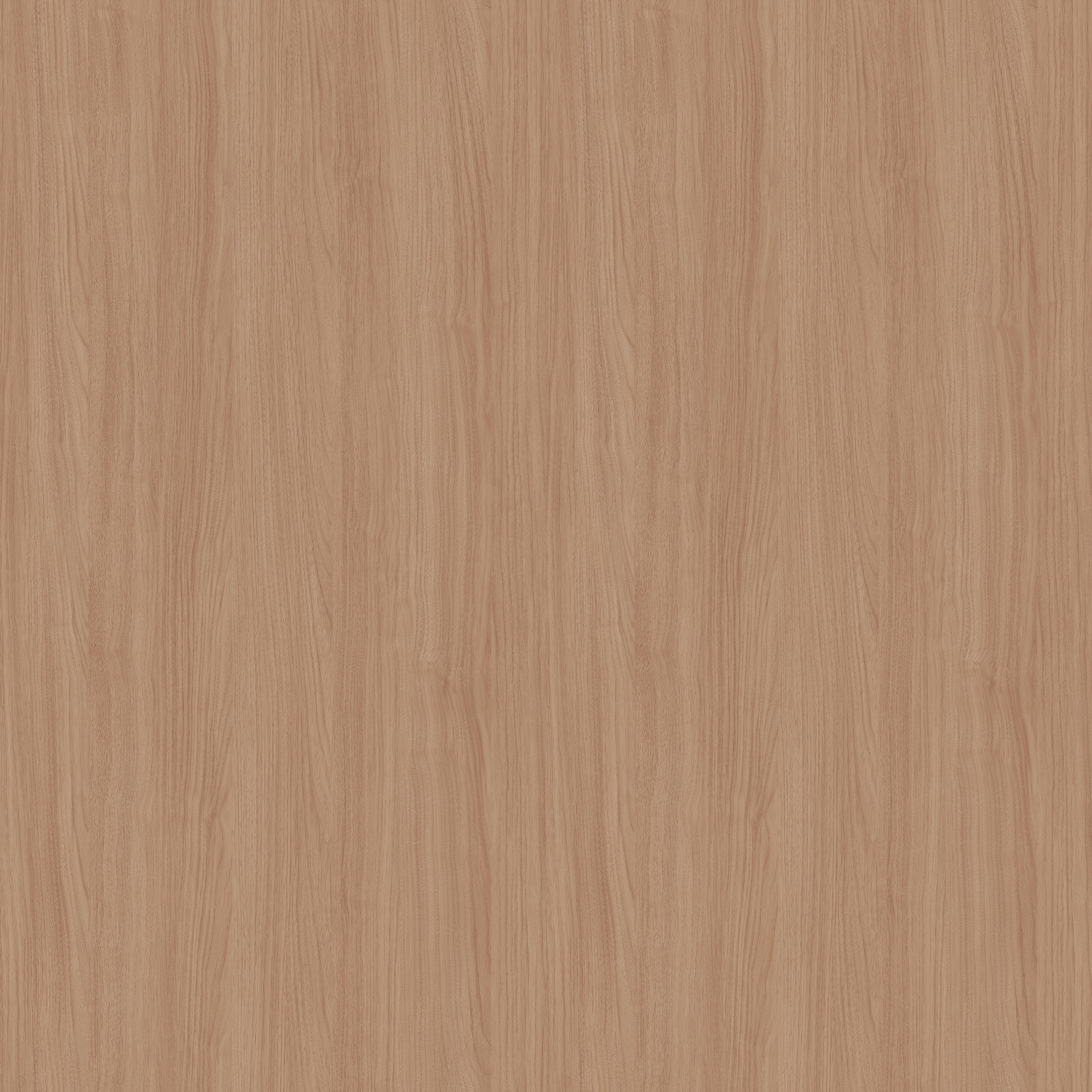 YDH560  普达措胡桃